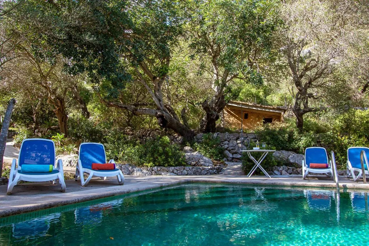 Villa Muscarolas By Home Villas 360 Pollença